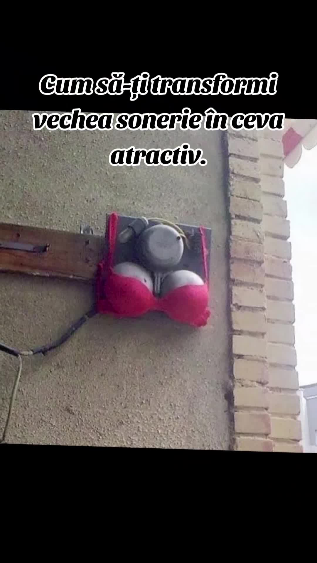Video de @gupiuser144503