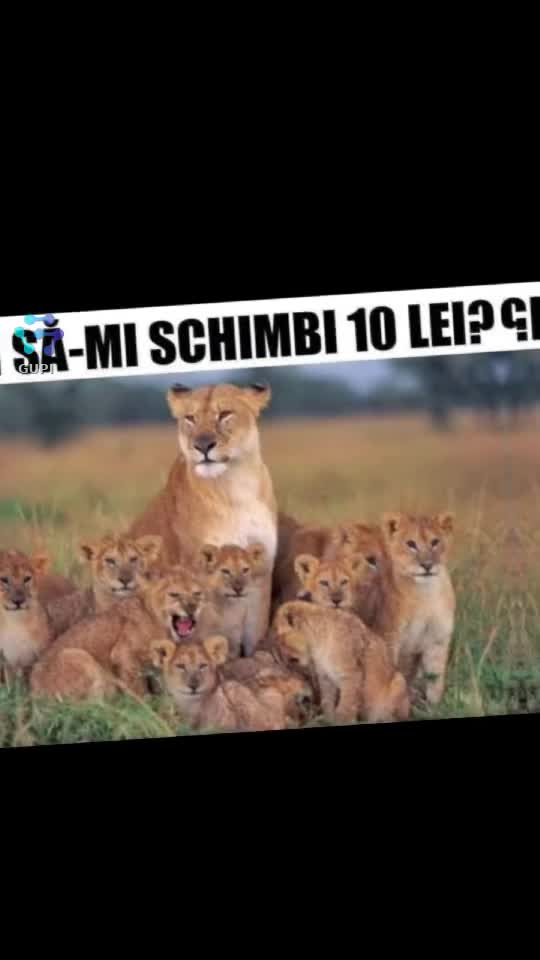 Video de @gupiuser144503