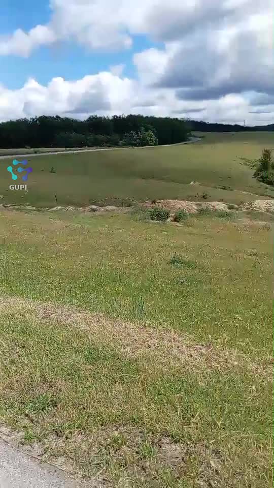 Zonele din Tășad