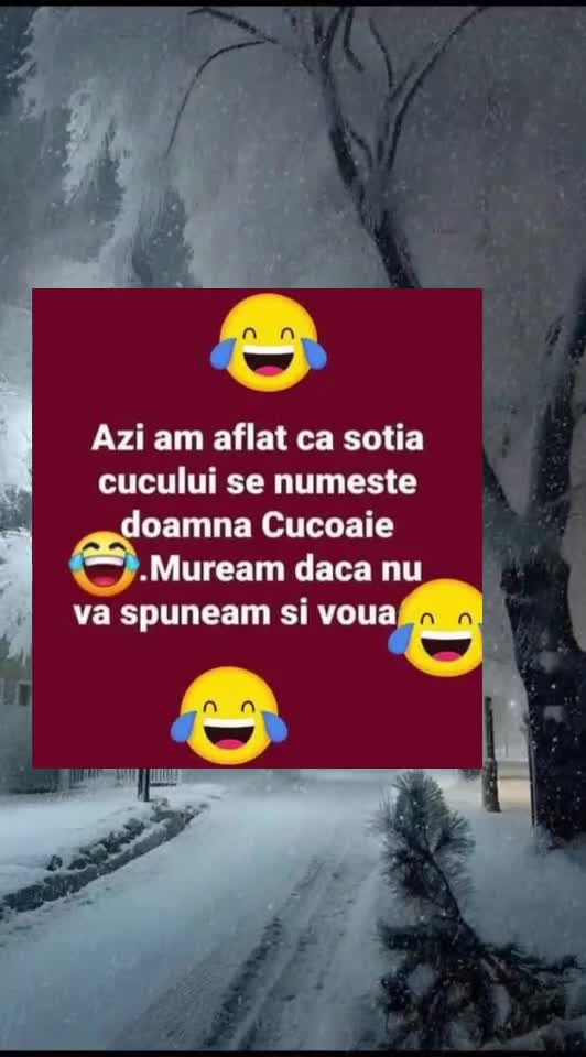 🇷🇴🤪🇷🇴#🇷🇴🤣🤣
