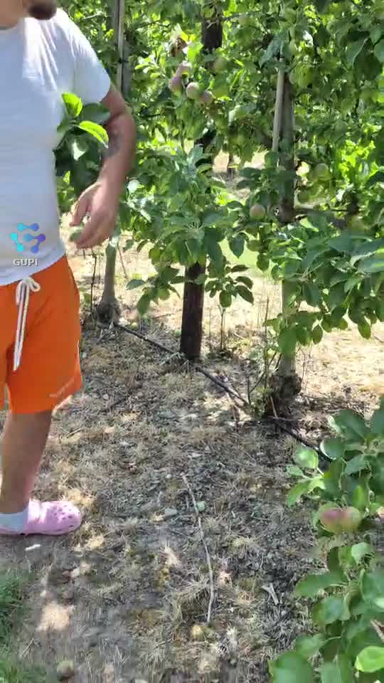Video de @gupiuser371460