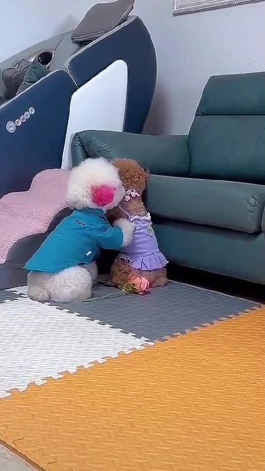cute#🥰🥰🥰🥳