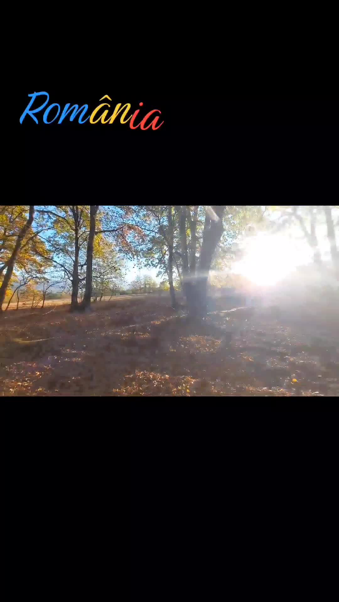 Video de @FLRica06