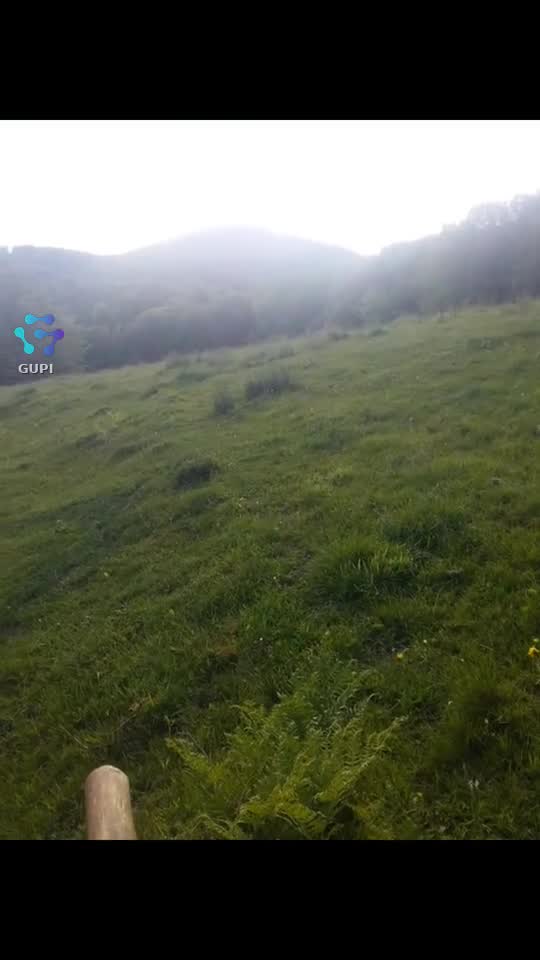Video de @gupiuser329087