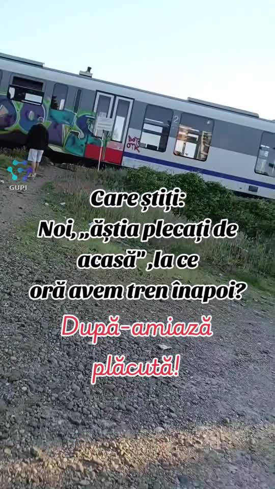 după-amiază plăcută!...🌞