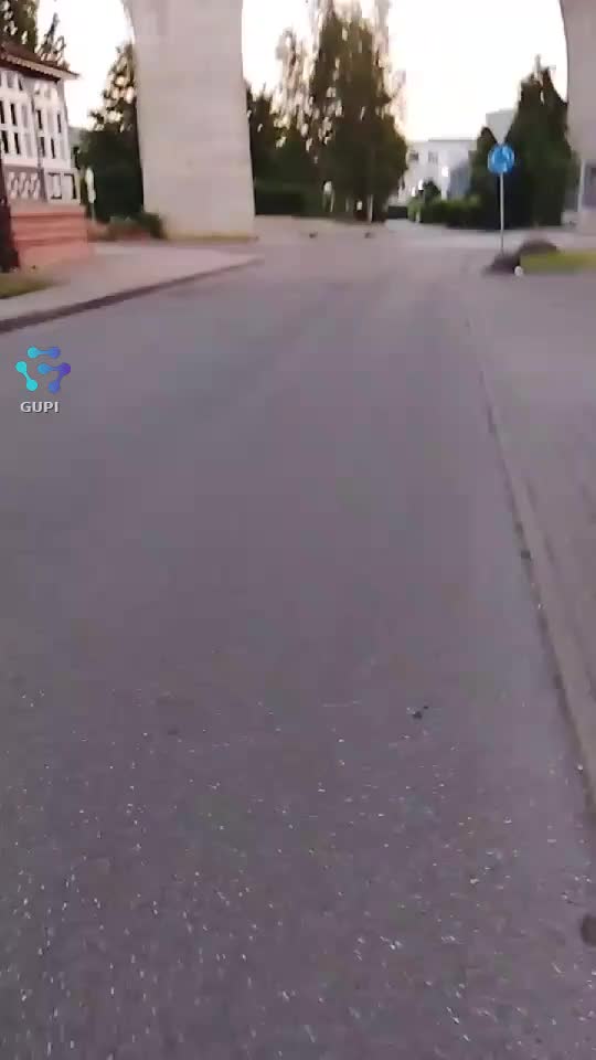 Video de @gupiuser155431