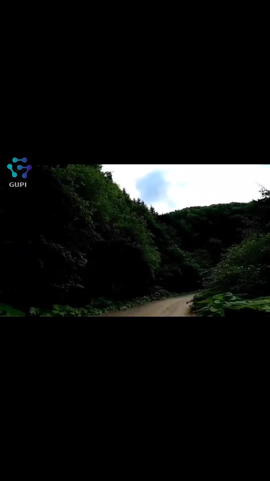 Video de @FLRica06