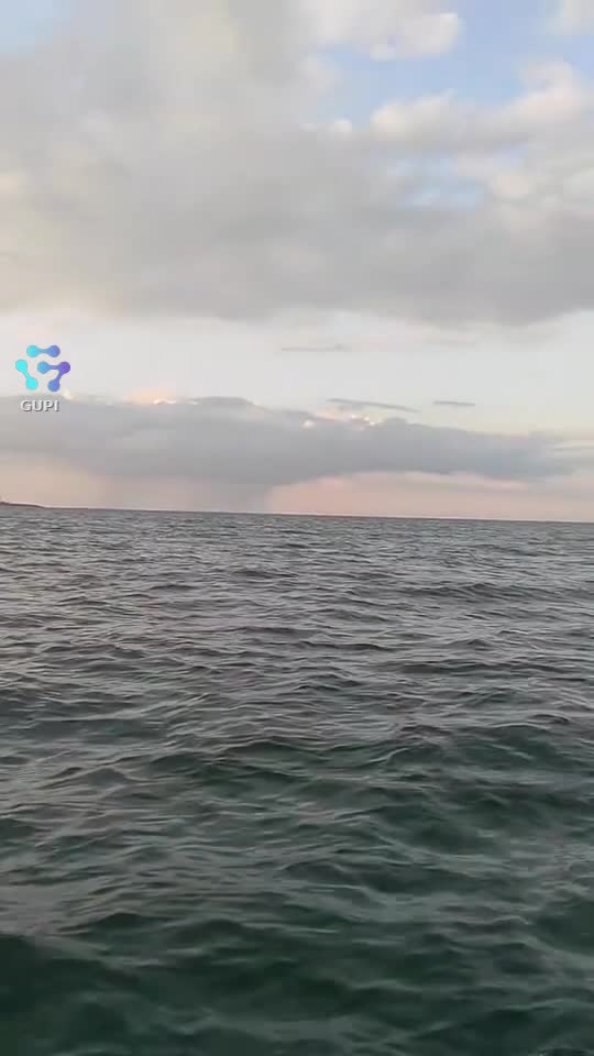 #Rasarit