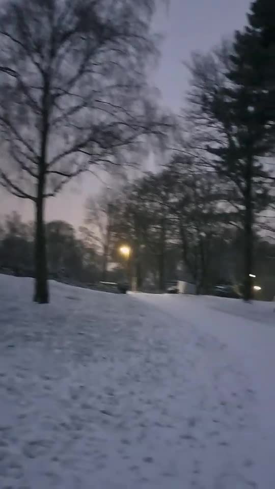 O gradina Botanica fara plante. Sunt acoperite cu zapada :))