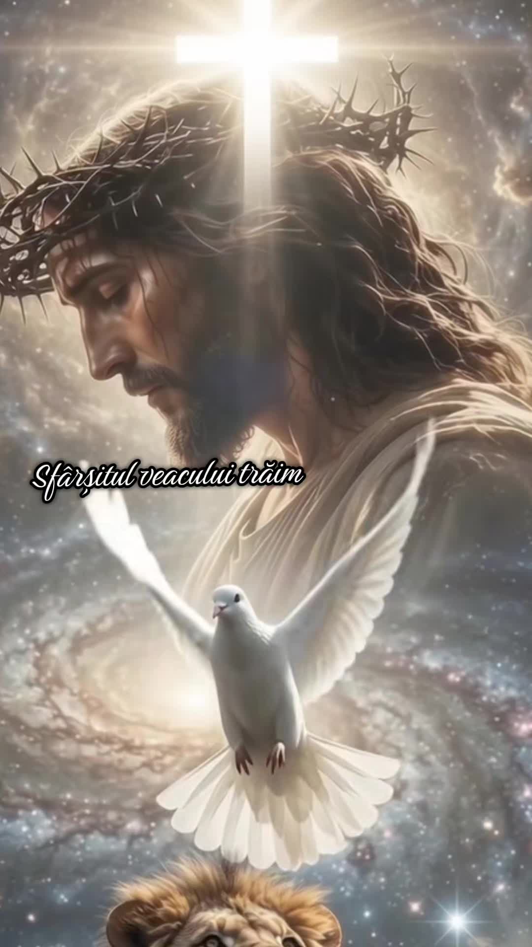 Video de @daniel63