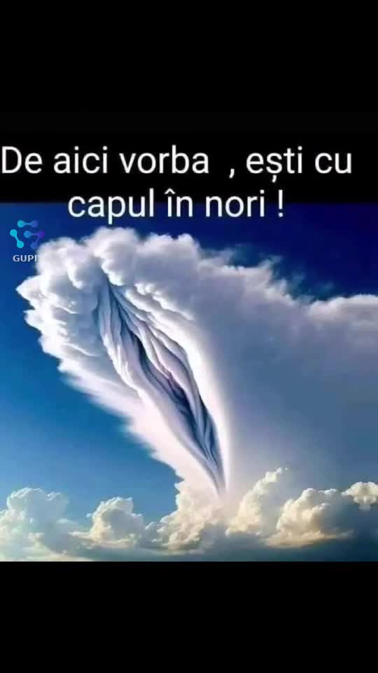 Video de @gupiuser144503