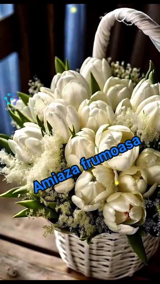 O după amiază plăcută!❤️❤️♥️