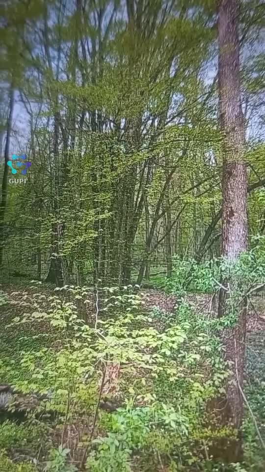 stele căză toare|||{"overlays":[{"text":"-Îmi place luna....    \n=De ce?\n=Pentru că e și ea\nsingură, ca mine...\n=Păi și stelele?\n=Stelele sunt ca prietenii\nfalși, apar numai când\ne senin și bine....","x":0.07915039062500002,"y":0.3618974480151229,"fontSize":21.633039792699435,"color":4294967295,"isEmoji":false},{"text":"⭐","x":0.416552734375,"y":0.7621219281663517,"fontSize":48.0,"color":4294967295,"isEmoji":true},{"text":"⭐","x":0.24345703125000004,"y":0.7314035916824198,"fontSize":48.0,"color":4294967295,"isEmoji":true},{"text":"⭐","x":0.06303710937500002,"y":0.6974362003780719,"fontSize":48.0,"color":4294967295,"isEmoji":true},{"text":"🌜","x":0.09233398437500002,"y":0.2927906427221172,"fontSize":26.0,"color":4294967295,"isEmoji":false}]}