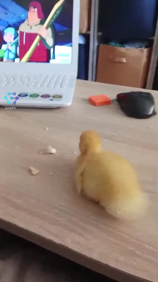 Video