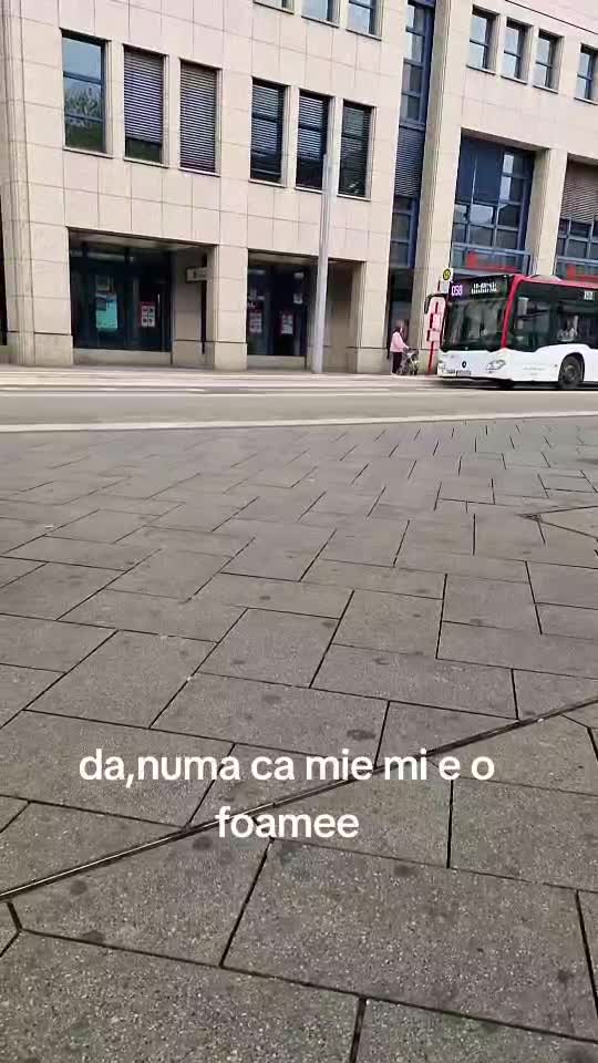 #sărbători