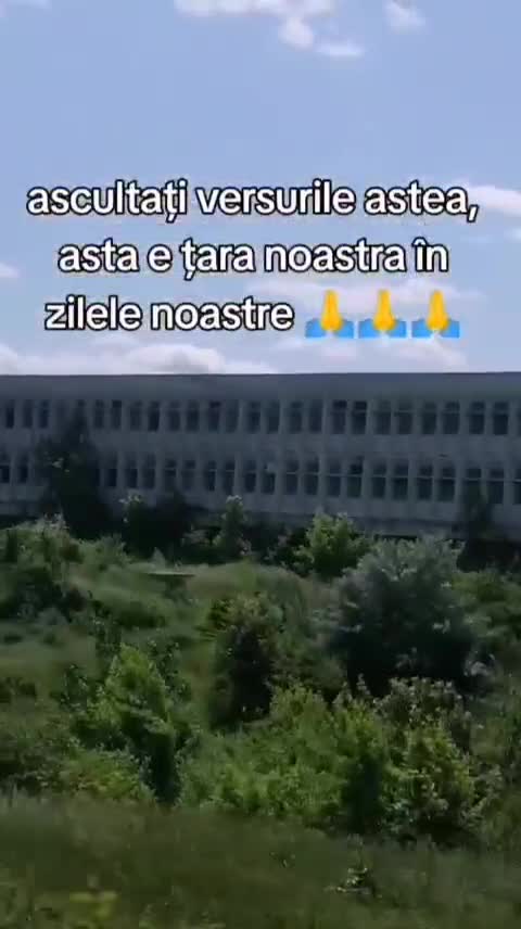 #F