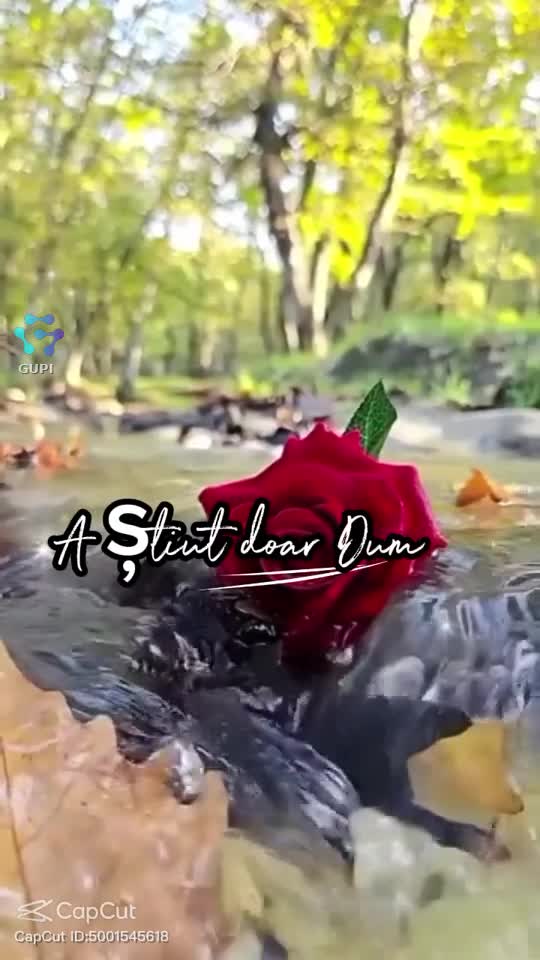 Original Sound - 💞Tyna💞
