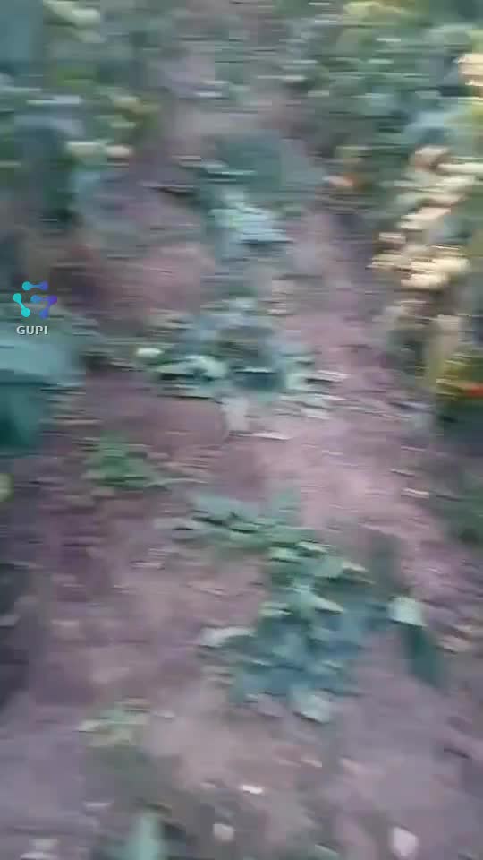 Video de @gupiuser155101