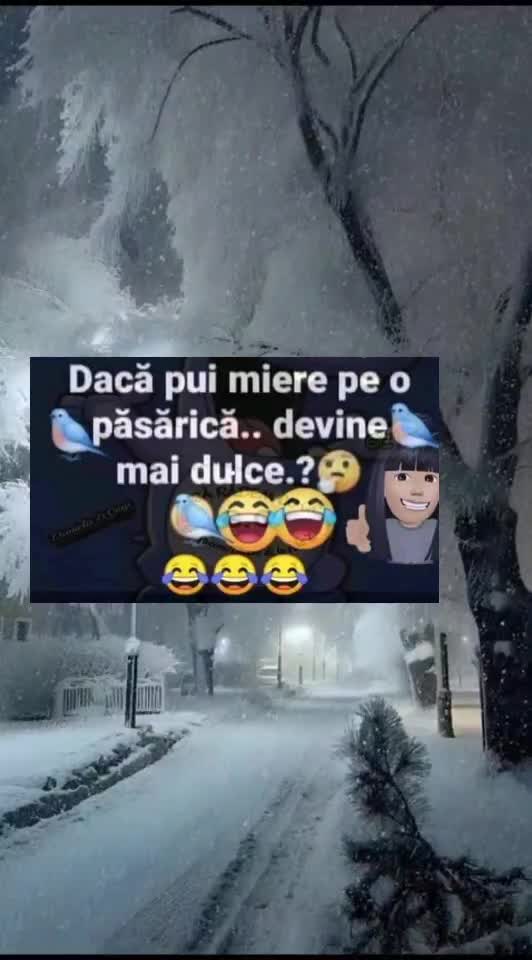 🇷🇴🤪🇷🇴#🇷🇴🤣🤣