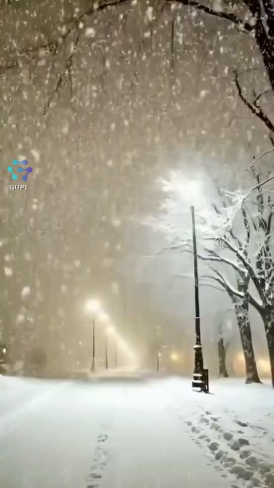 Video de @Christmasking