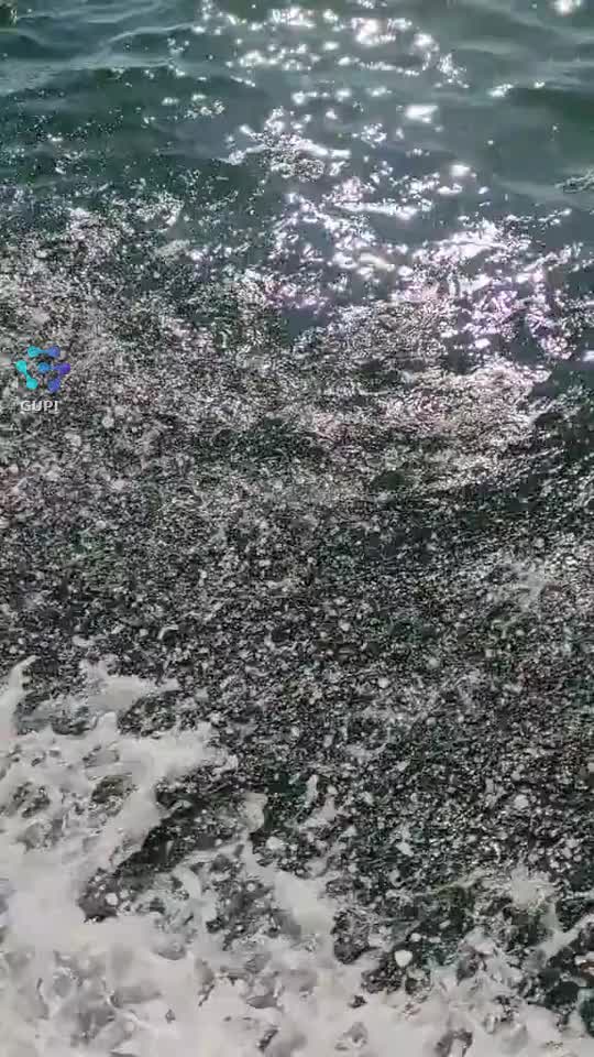 #blacksea