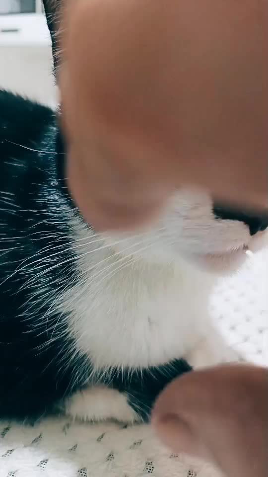 Feli😘