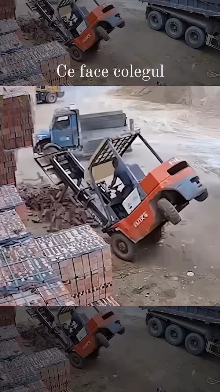 colegul