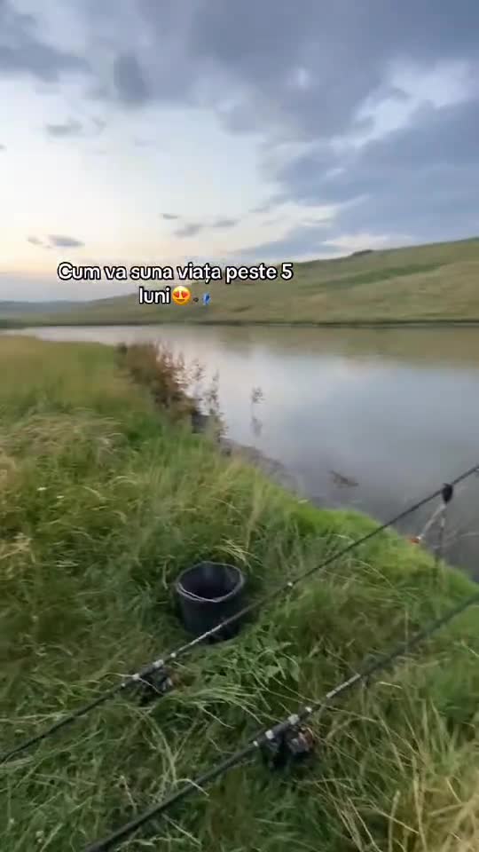 Vara