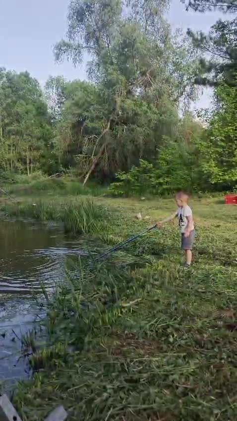 Video de @gupiuser1018252