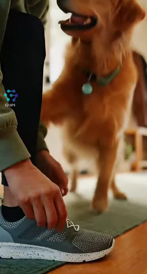 Dog Thinks It’s Playtime… It Was NOT Playtime 😂🐶⚽