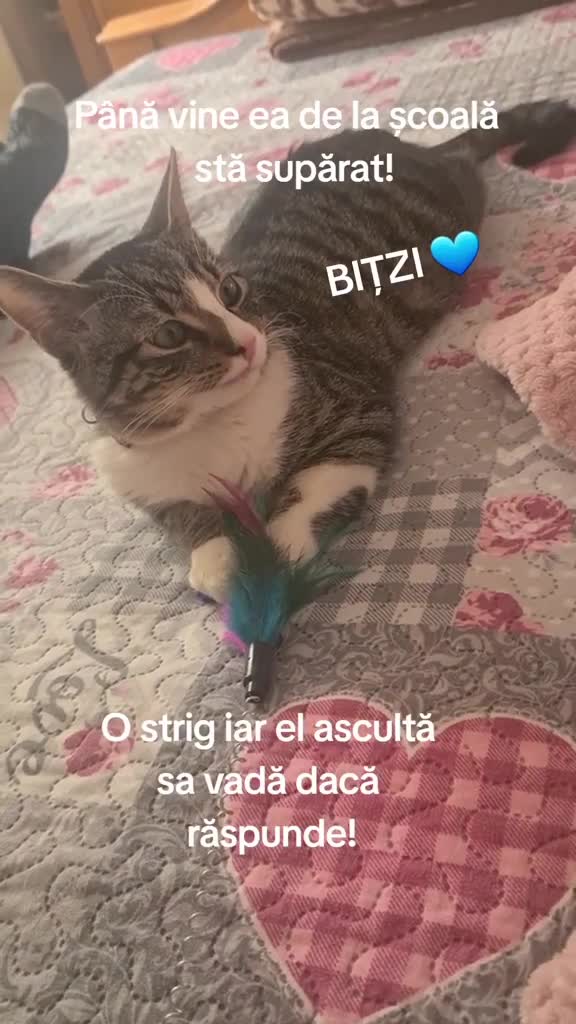 Original Sound - Bubu YUB
