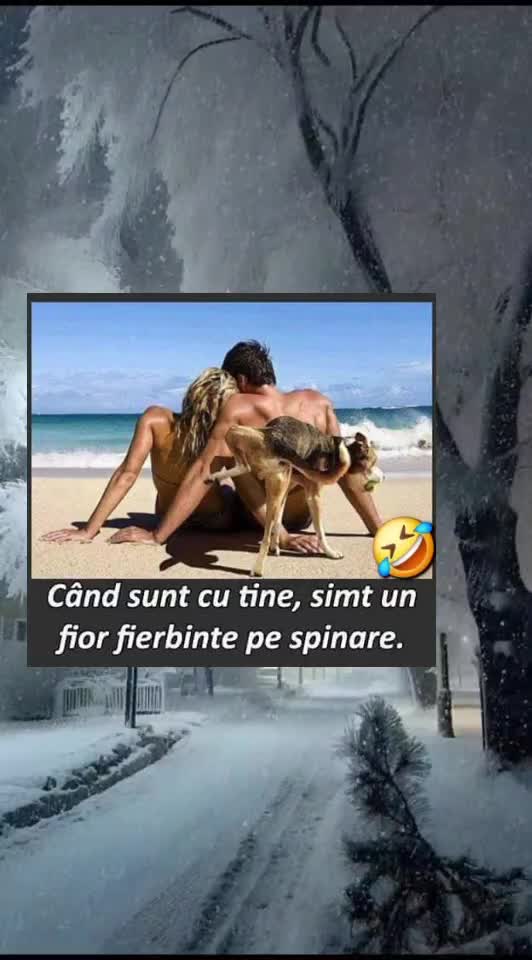 🇷🇴🤪🇷🇴#🇷🇴🤣🤣