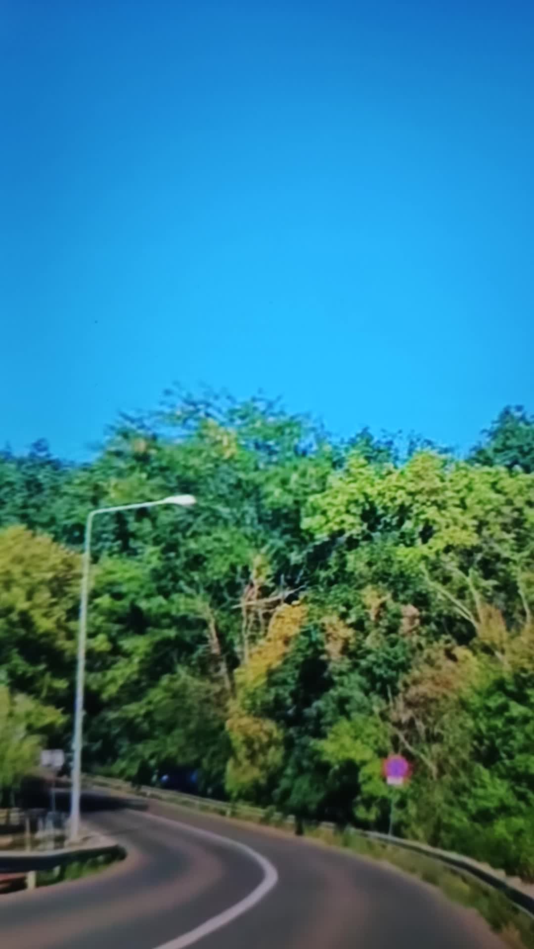 Video de @gupiuser868790