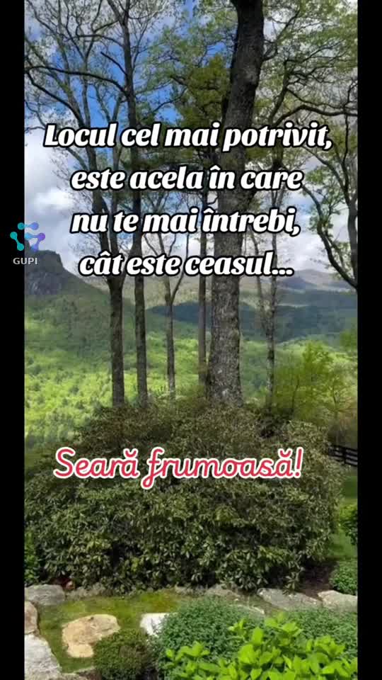 seară liniștită!... ✨✨✨