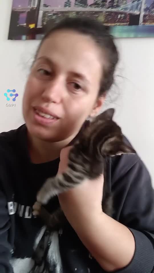 🙂🐆