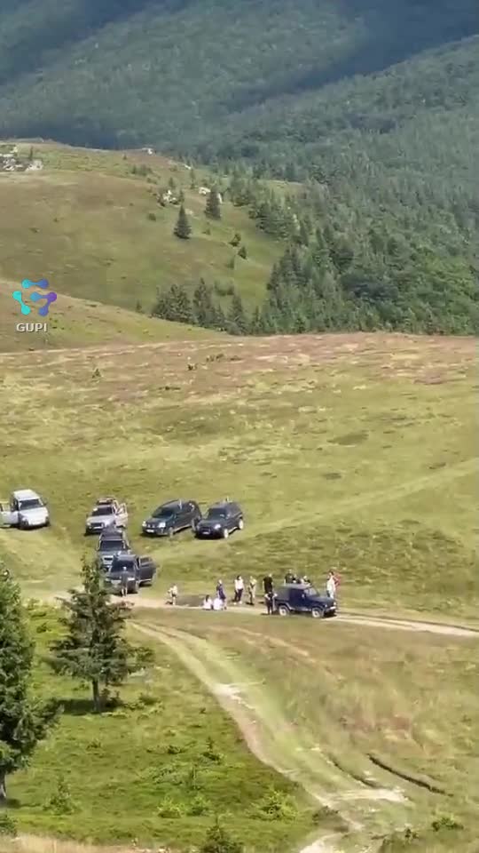 Video de @gupiuser163243