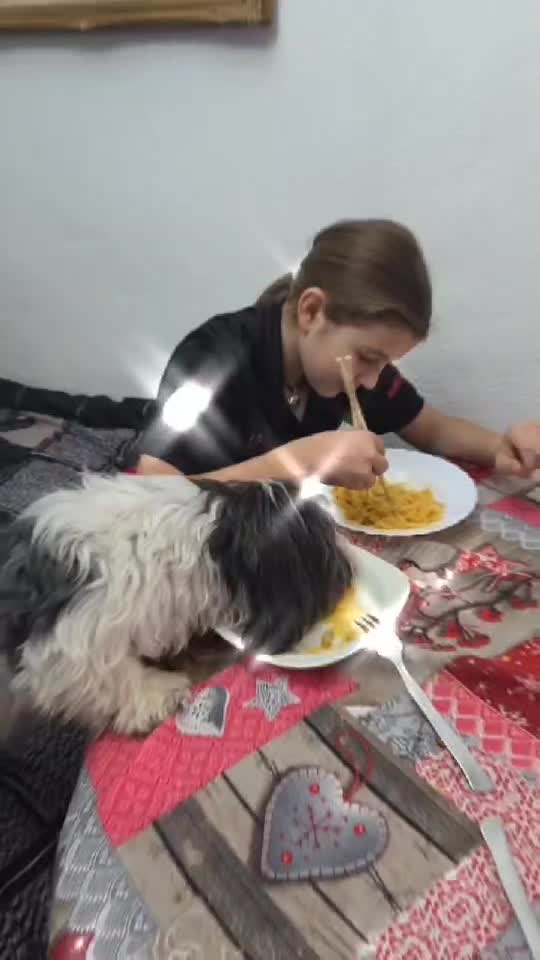 Mâncați ca vin Rusiii :))))