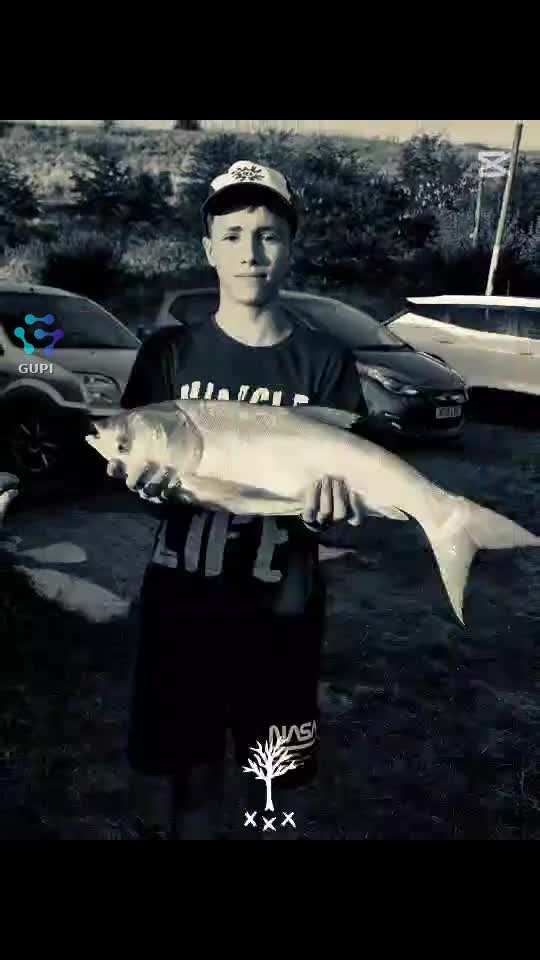 Video de @gupiuser726099