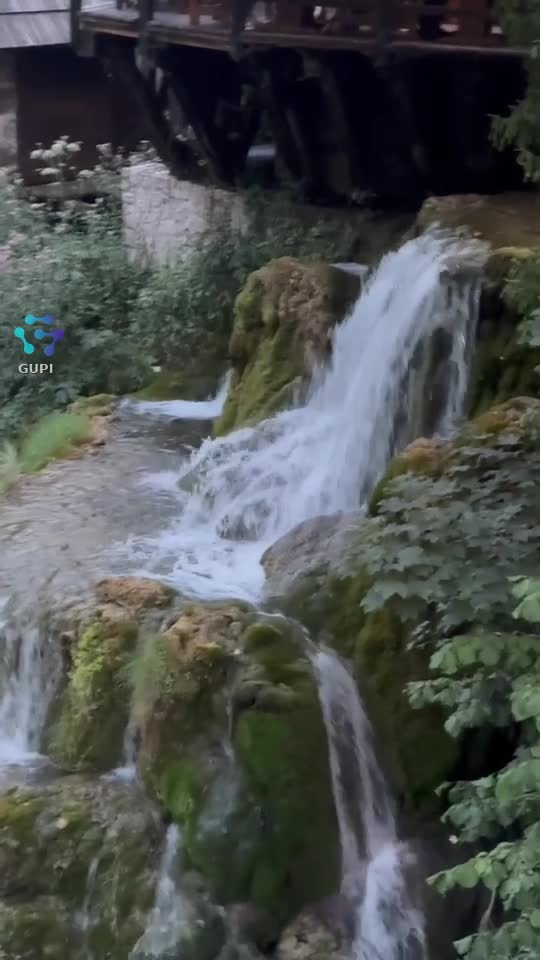 Video de @gupiuser94137