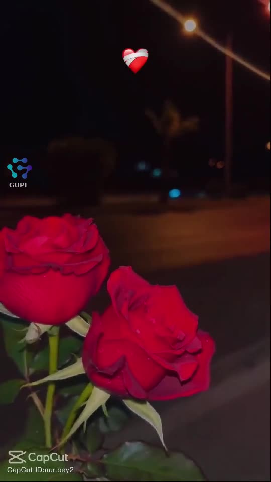 Video de @mary136677