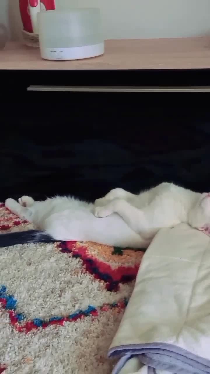 #relax