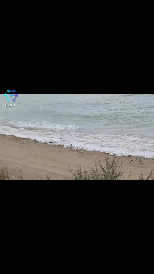 Costinești
