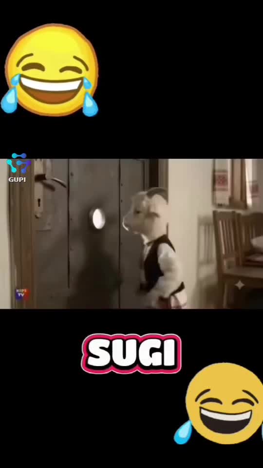 😅😅😅😅