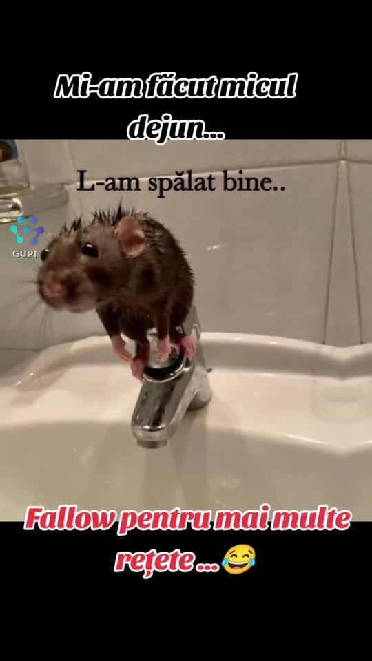 rețete culinare...😂😂😂