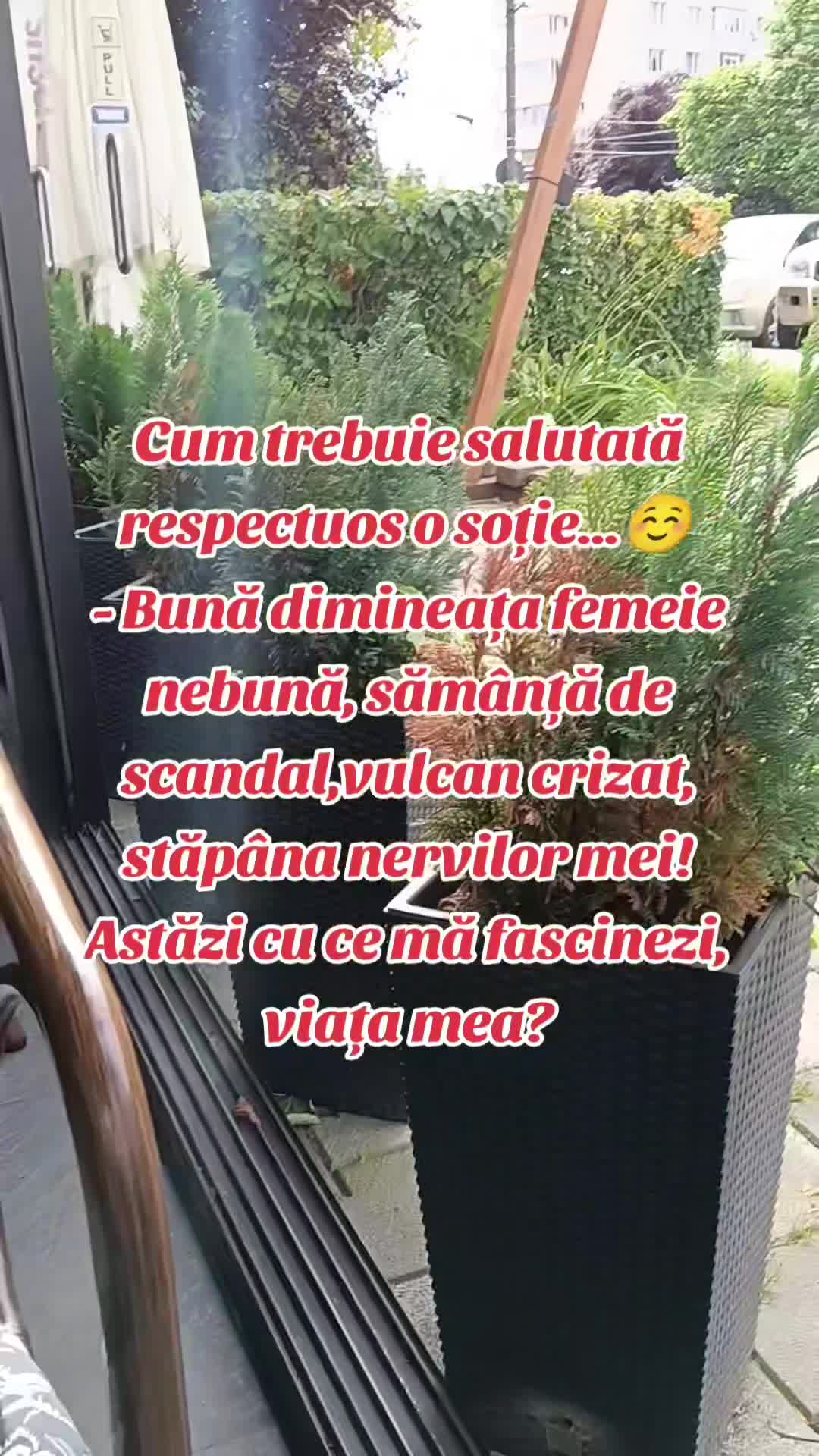 Video de @gupiuser144503