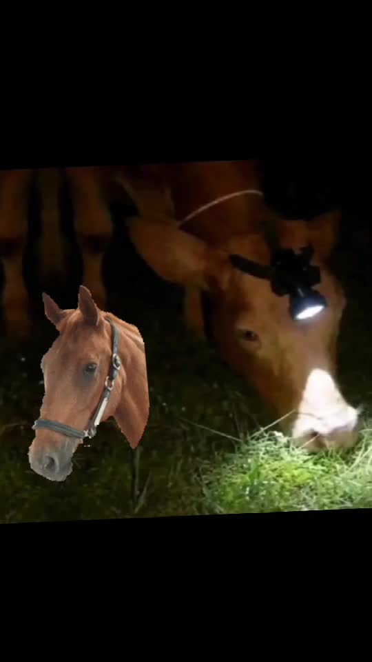 ###