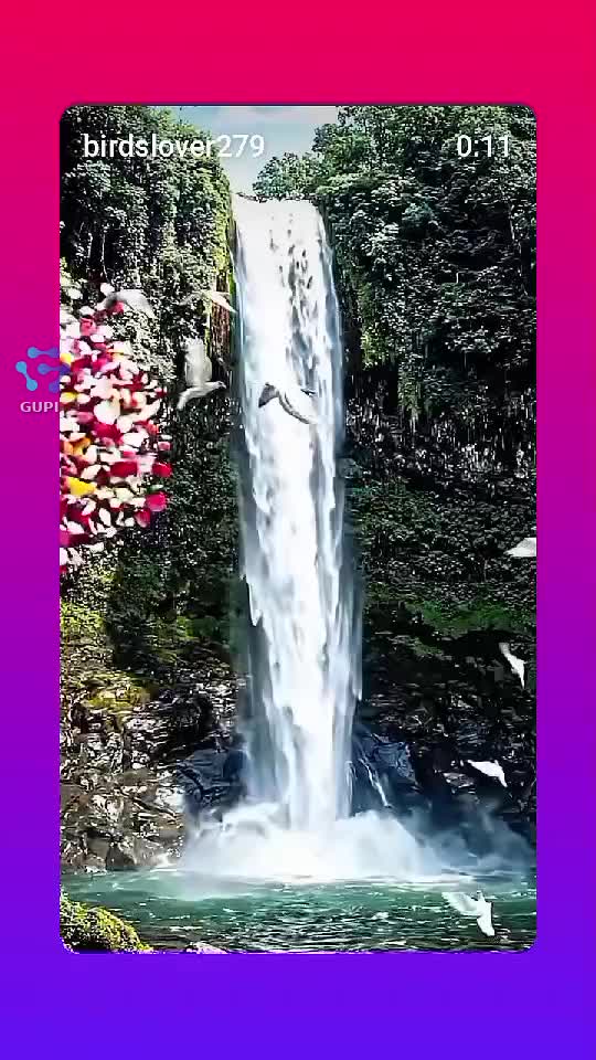 Video de @gupiuser360071