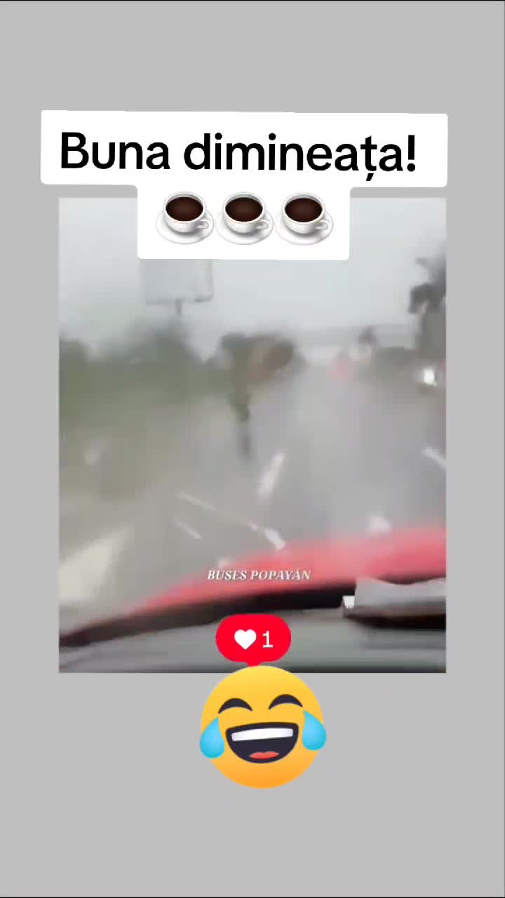 Bună dimineața! ☕️☕️☕️
