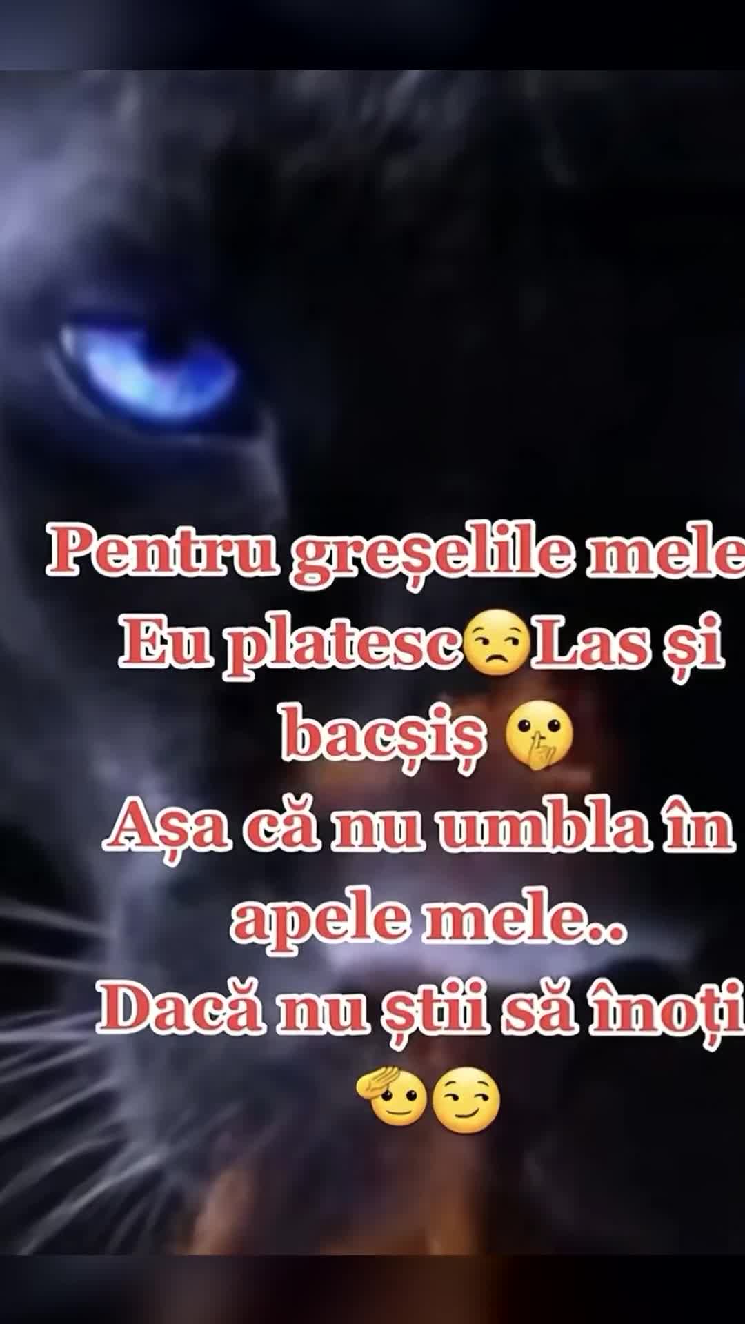 😎😎😎