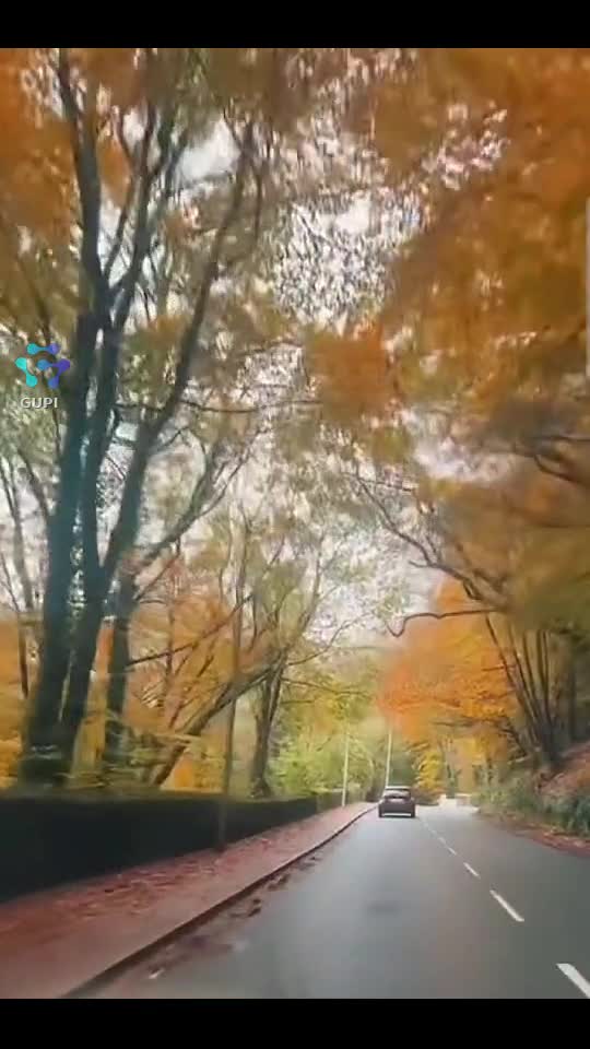 Video de @Anghell